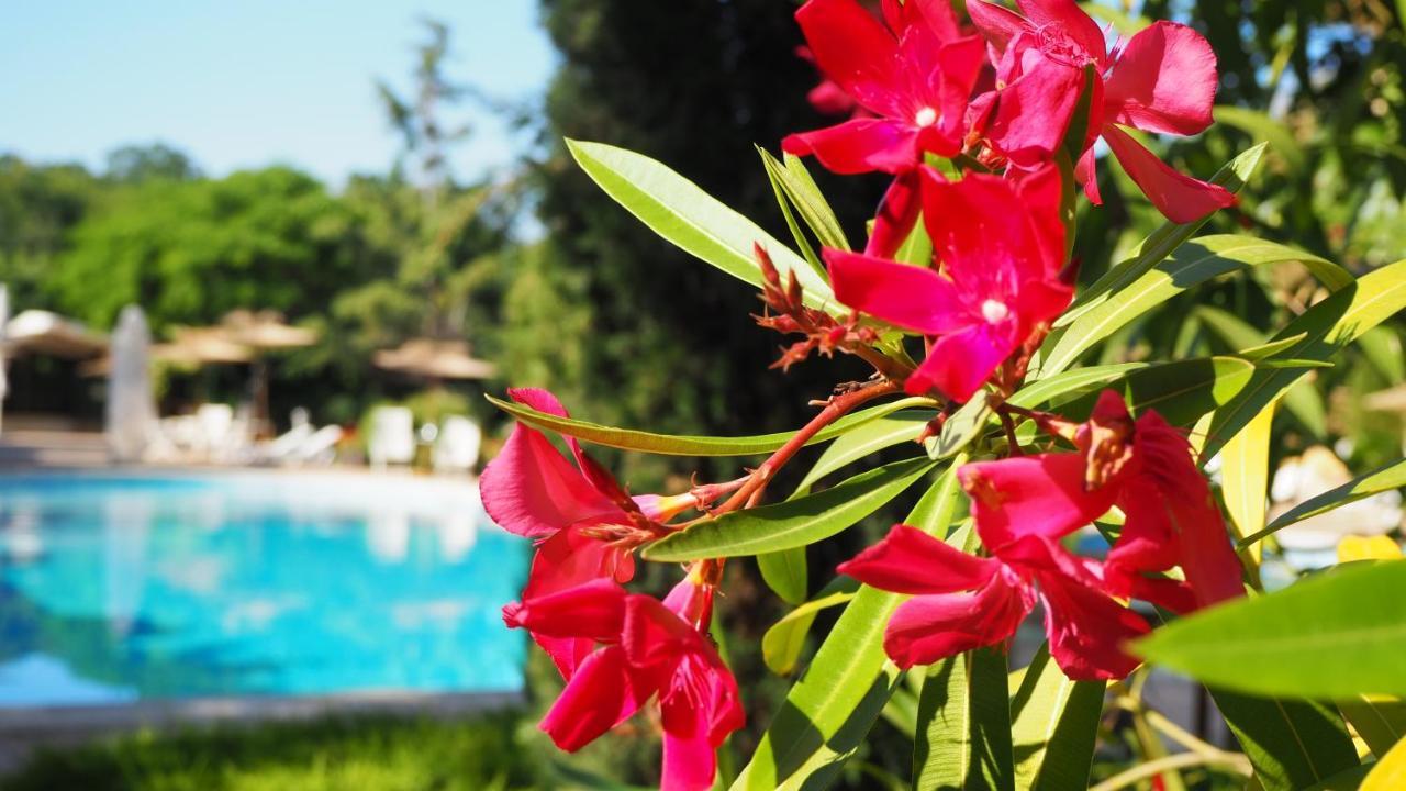 Joya Park 4* Golden Sands