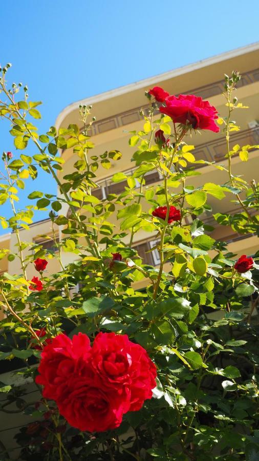 Hotel Joya Park