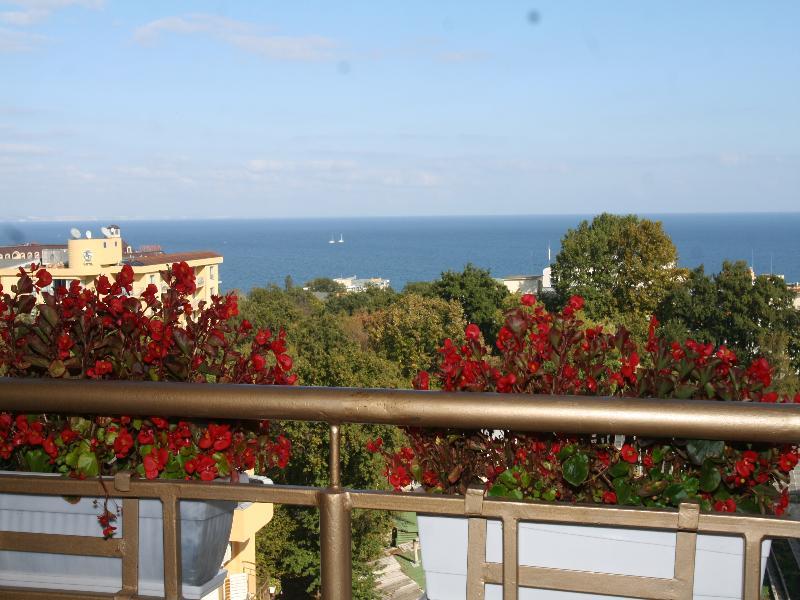Hotel Joya Park